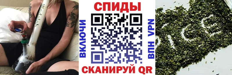 Бутират буратино  Купить где  Кологрив 