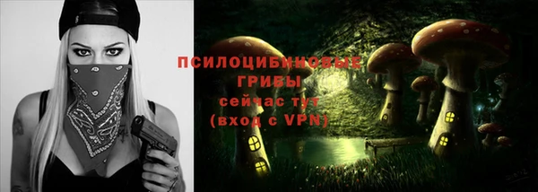 МДПВ Гусев