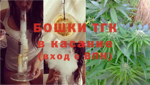 МДПВ Гусев