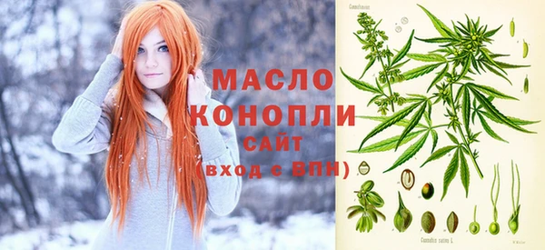 МДПВ Гусев