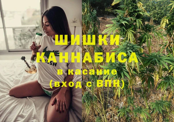МДПВ Гусев