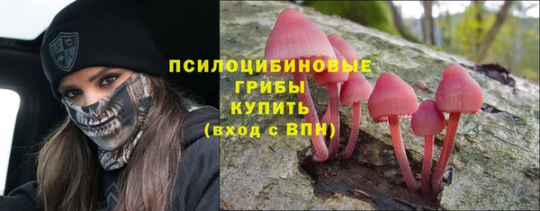 тгк Гусь-Хрустальный