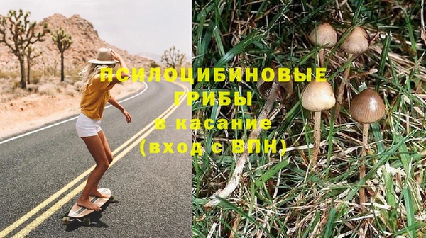 МДПВ Гусев