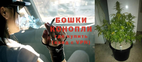 тгк Гусь-Хрустальный